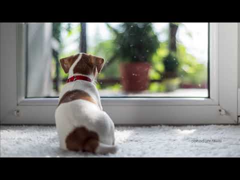 Alarme maison sans fil - avec vidéo - Tyxal+ DELTA DORE