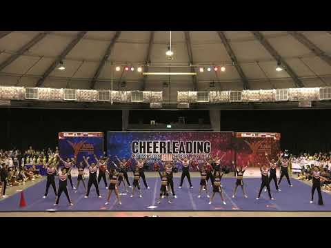 182  Team Cheer Open Coed Premier #8 Aerial All Star