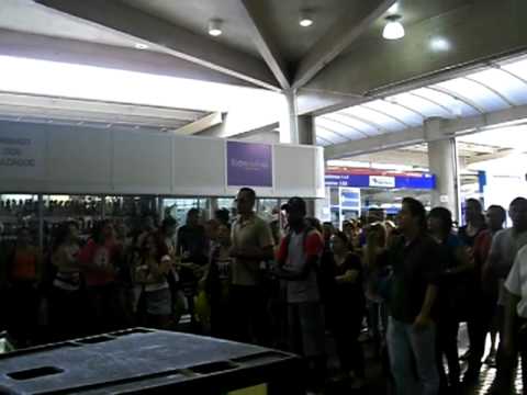 "Esperando na Janela", Bicho de Pé, Arte nos Terminais EMTU em Campinas