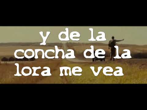 Morbus  Zónicko - Siempre Serenos (Lyric Video)