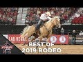 The Best Of Rodeo From 2019