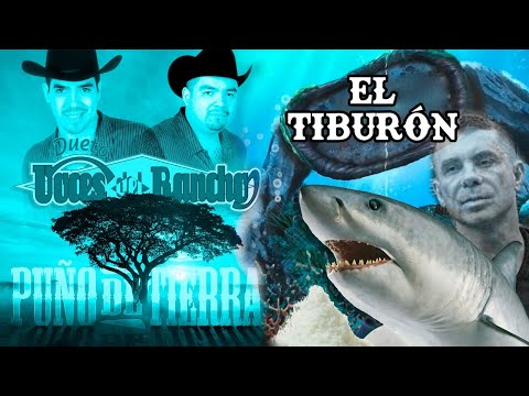 Video thumbnail for El Tiburón