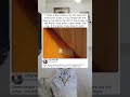 MONEY UNDER THE RUG! 💵 Funniest Cleaning Test Ever #fails