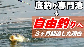 底釣り専用池から自由釣りにルールが変わったヘラブナ釣り堀、底釣りと浅ダナどちらが釣れるのか検証してみた【埼玉県弁天閣】