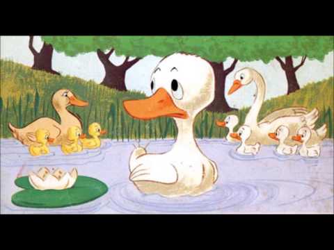 Het lelijke jonge eendje