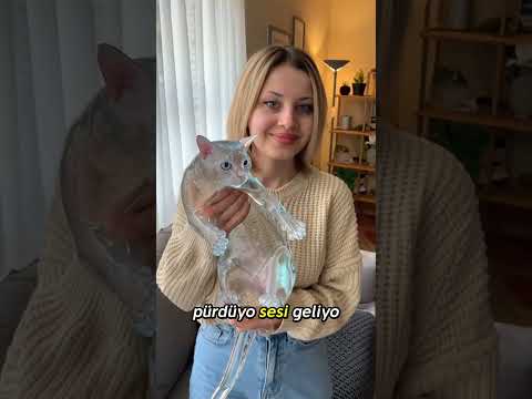 Tamamen Şeffaf Kedimi Tanıtıyorum!