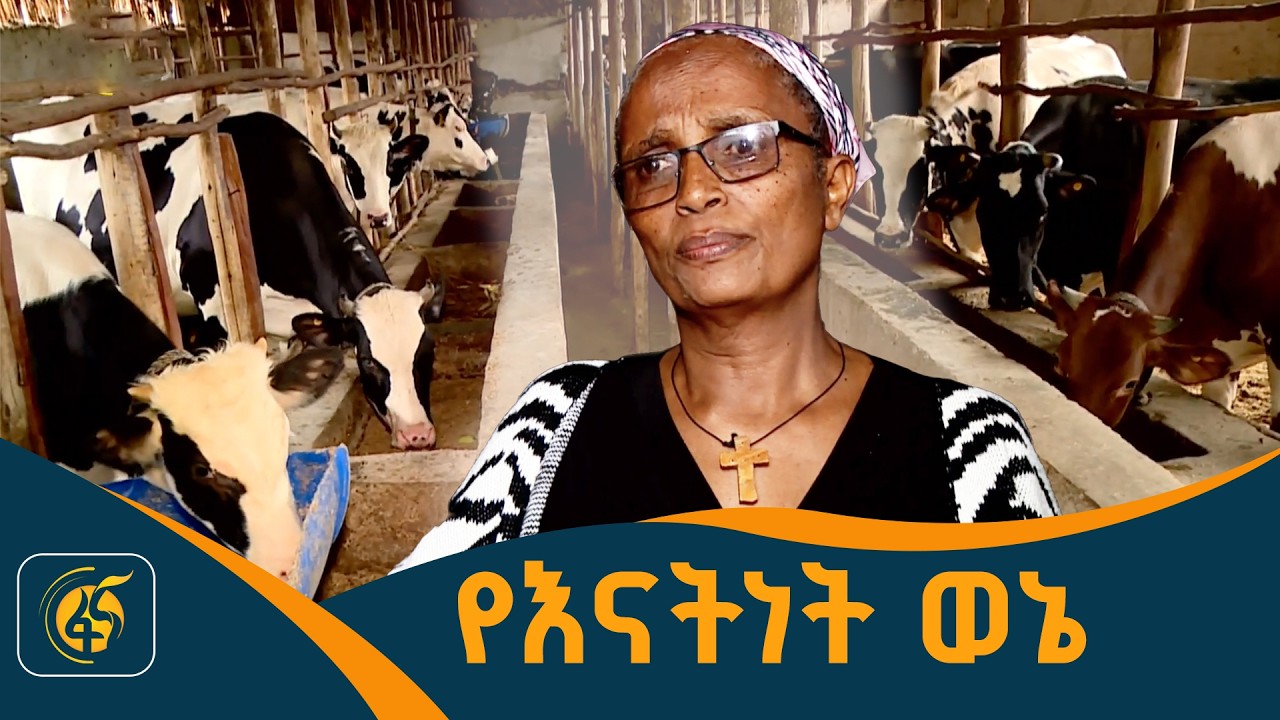 የሀዋሳዋ ብርቱ ሴት /ዓለም ሸማች/