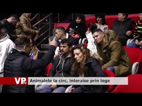 Animalele la circ, interzise prin lege