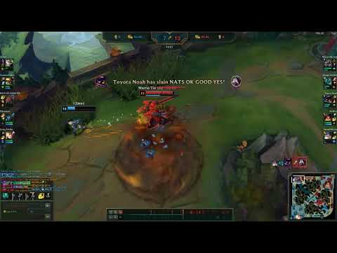 Unsealed Spellbook E Max Nasus vs OTP Riven, I love it