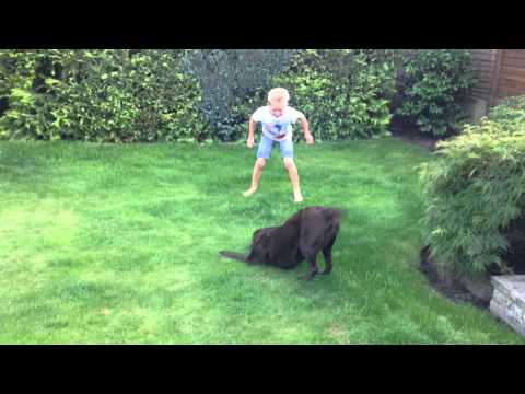 Samba Movie "Trailer" 2016