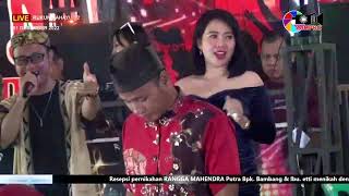 Download lagu IKAN DALAM KOLAM  | OM ALLICA MUSIK PALEMBANG | TRANS D2 JIRAK JAYA MUBA mp3 Download lagu IKAN DALAM KOLAM  | OM ALLICA MUSIK PALEMBANG | TRANS D2 JIRAK JAYA MUBA mp3