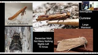 Raegan Blacker 'Workington Nature Partnership'