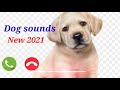 DOG New Ringtone Sound New Ringtone 2021