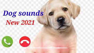 DOG new ringtone sound   New ringtone 2021