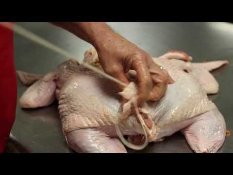 download lagu mp3 mp4 Gourmet Butcher Block Stuffed Chicken, download lagu Gourmet Butcher Block Stuffed Chicken gratis, unduh video klip Gourmet Butcher Block Stuffed Chicken
