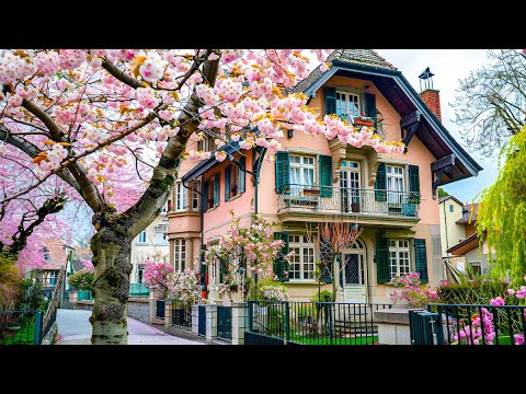 Walking in Zurich, Switzerland 🇨🇭 Fresh Spring Impressions!