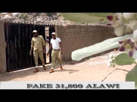 Fake Alawee