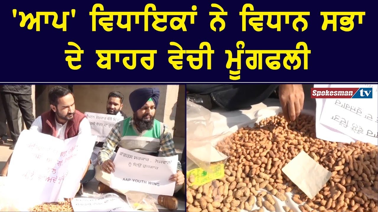 AAP MLA's sold peanuts outside Vidhan Sabha AAP MLA's sold peanuts outside Vidhan Sabha