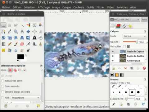 comment augmenter les pixels avec gimp