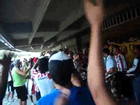 El Auriverde Es Asii