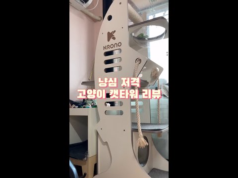 아이콘