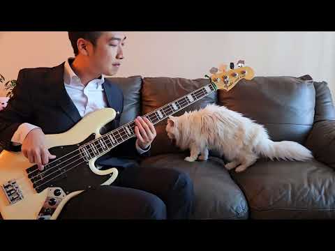 Fender american Deluxe US13 jazz bass [Sound Sample]