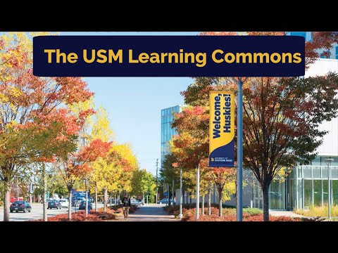 Usm Learning Commons Overview