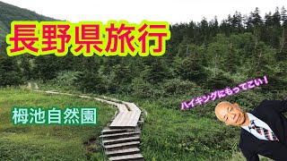 【Vlog】長野県旅行！！！  ハイキング小峠  栂池自然園  風穴  ロープウェイ  ハート池  ソフトクリーム  BGMは自分で調べろ！  やまびこ  白馬岳  れいピー