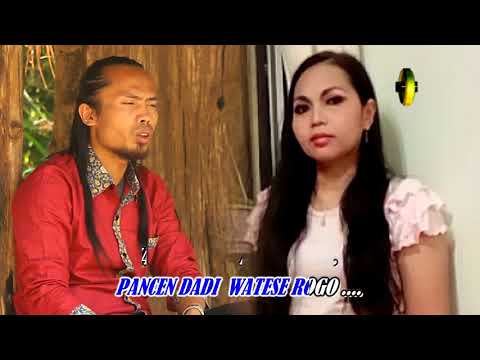 Arya Satria Feat. Susi Butik - Tresno Kalingan Negoro | Dangdut (Official Music Video)