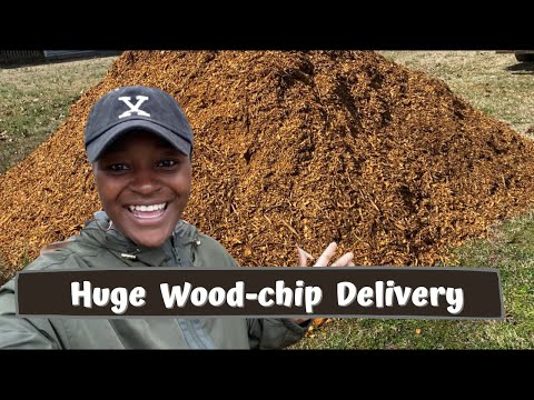 How We Got Free Mulch