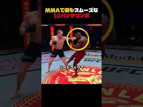 MMAで最もスムーズな10パンチコンボ