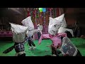 New Christmas Song Sone Kamal