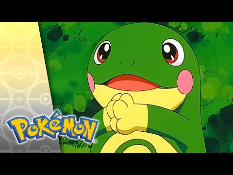 I Politoed Ya So | POKÉMON FULL EPISODE 40 | Season 5