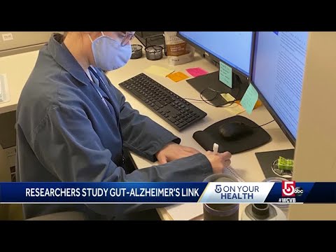 Researchers study link between gut health, Alzheimer's