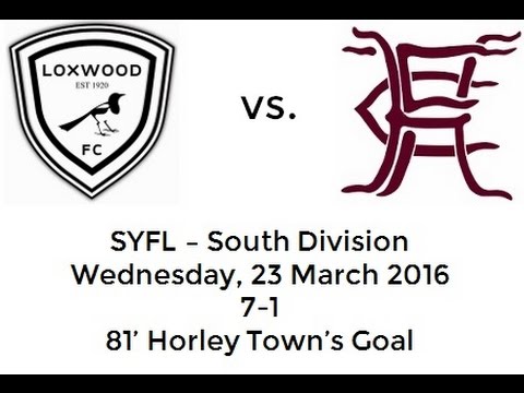 2016 03 23 Horley Town Goal