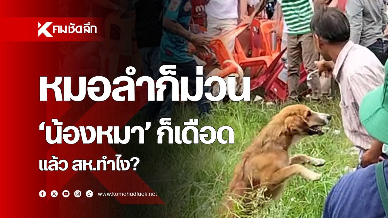 หมอลำก็ม่วน 'น้องหมา' ก็เดือด สห.จะทำยังไง