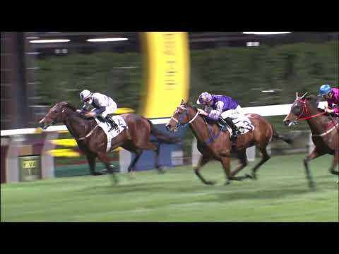 6/1/2021 (323) Maldives - Z Purton