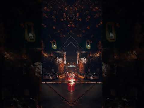 Sorry I am Murda Baby ((Bobkata x Mom4eto) x Kollektiv Turmstrasse)