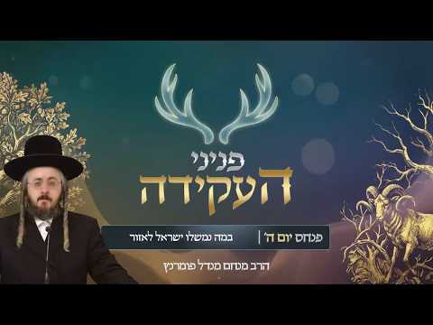 פניני העקידה - יום ה' פרשת פנחס