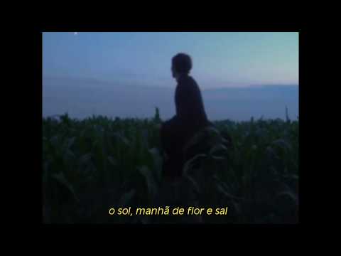 zeca veloso - todo homem (legendado)