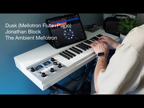 The Ambient Mellotron: Dusk - Mellotron M4000D Flute and Piano Improvisation