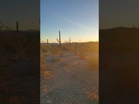 campground at sunset