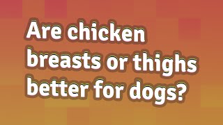 Are chicken breasts or thighs better for dogs?
