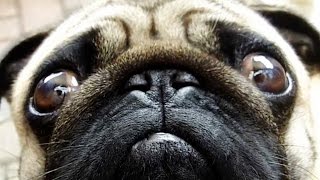 RETROUVERONS-NOUS KIKI Astray 