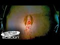 The Big Fat Breeding Alien Explodes Slither Science Fiction Station