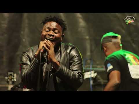 Festival REGGAE 237 4ème édition avec l'un des meilleurs groupe: Family Groove