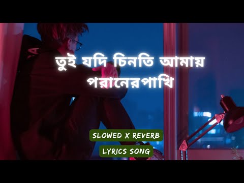 tui jodi chinti amay poraner pakhi(Slowed x Reverb)|তুই যদি চিনতি আমায় পরানের পাখি|S I Tutul|Lyrics