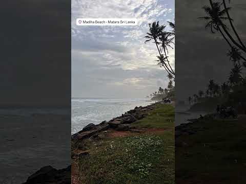 Madiha Beach 🇱🇰 🛩🛥⛱🌴🐋🐘🐆🏄