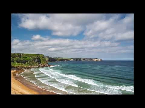 Roof, Halyn - Warefare (Indie Pop)