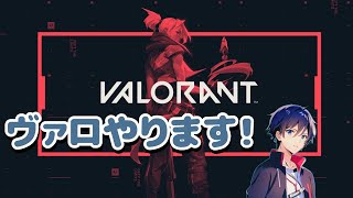 【VALORANT】ヴァロ練習します。【ナカユウ】